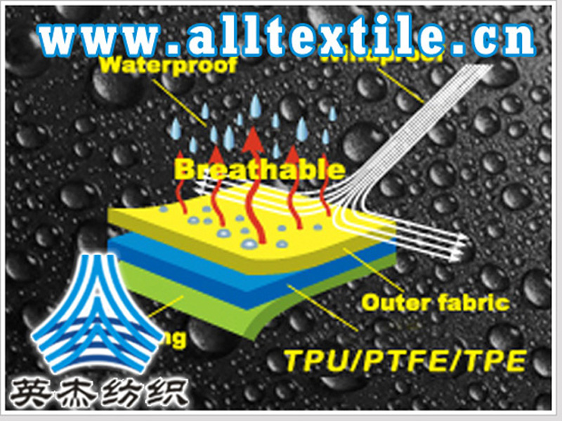 fuhebuliao49.jpg fuhebuliao49.jpg