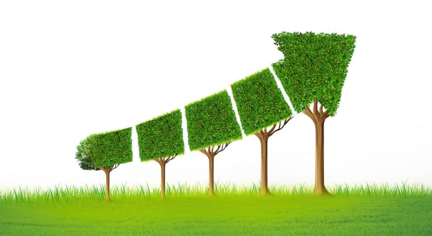 中国纺织工业着手源头谋求绿色发展 