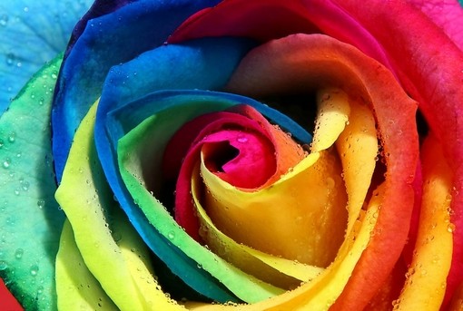 固色剂的作用、机理及环保方面的分析与展望 