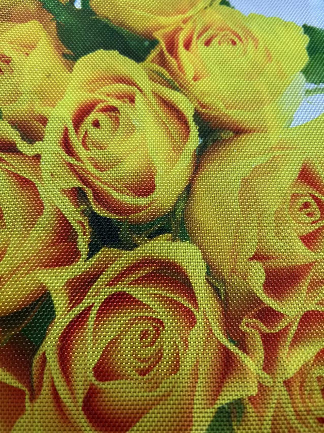 牛津布数码印花