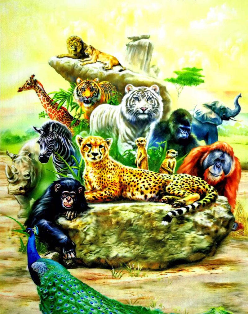 数码印花面料36